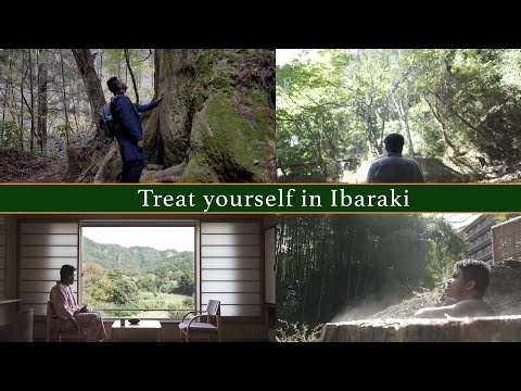 A Journey of Relaxation