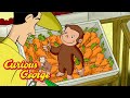 George The Gardener Curious George Kids Cartoon Kids Movies