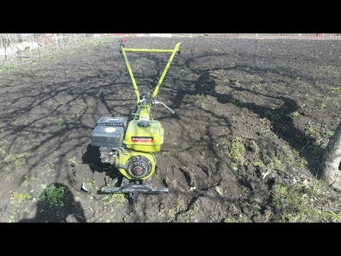 Мотоблок на все случаи жизни с поразительной надежностью! Кадви отдыхает.