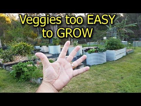 , title : '5 Vegetables that are too EASY to GROW in the Garden