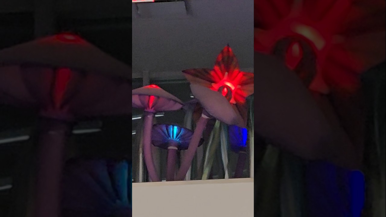 FLOWER 🌸| ART INSTALLATION FLOWER 🌼#canada #shorts #LED #art #artist #artinspiration #flowers #viral