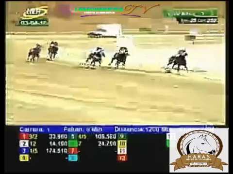 LA RINCONADA 1 CARRERA, DOMINGO 03 DE MARZO DEL 2016