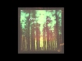 Fossil Collective - Monument 