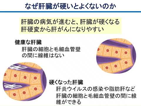 人文学科 市民公開講座　知っておきたい「肝炎の最新情報」