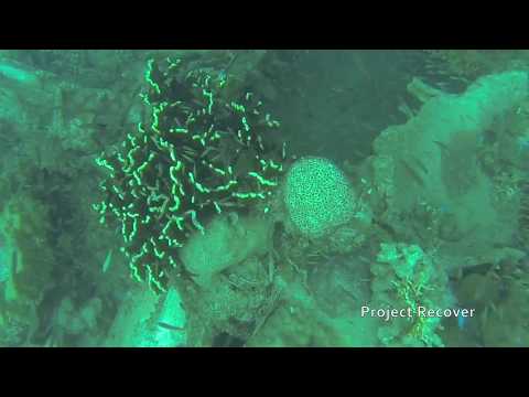 B-25 Bomber Discovered and Documented by Project Recover