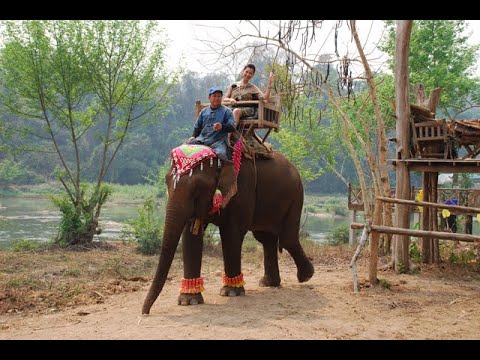 Noi Sengsourigna # One Woman's Journey to Preserve and Promote Lao Culture Part One