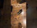 No Shot Gaming Breaking Fails Funny Videogames Setup Setupgamer Keyboard Anger Angry