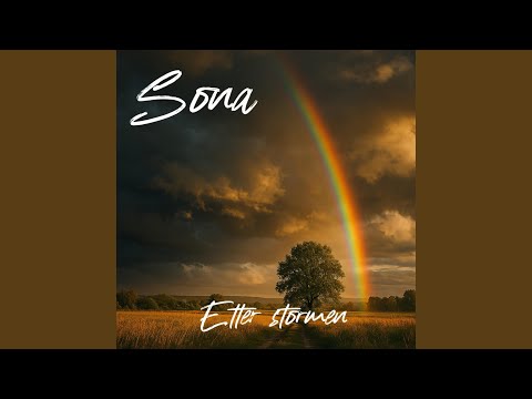 Etter stormen