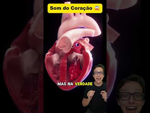 Som Cardíaco 😱#medicina #medico #enfermagem #anatomia #fisiologia #cardiologia #cardiologista