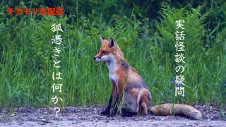 【生配信】実話怪談での“狐憑き”とはそもそも何か解説します。