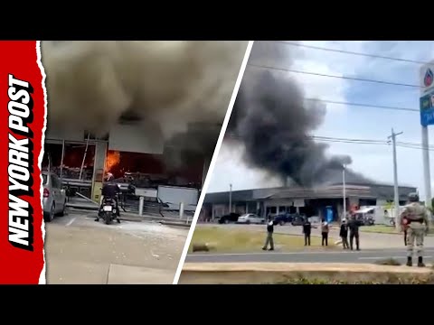 Deadly clashes between Cambodia and Thailand: What you need to know