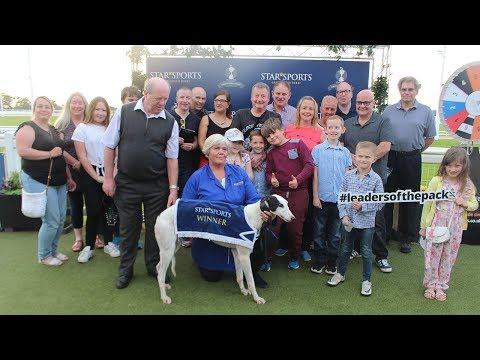 Sporting Dave Wins Star Sports 2018 English Derby Plate Heat One on 26th May 2018 (Official Video)