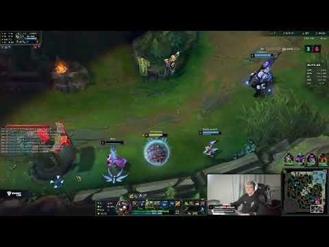 Rybson oro na rammusie