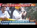 दिल्ली सीएम Arvind Kejriwal और पंजाब सीएम Bhagwant Mann ने कुल्लू में की तिरंगा यात्रा - Video