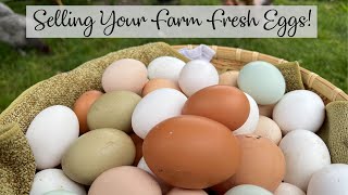 Tips For Selling Your Farm Fresh Eggs!