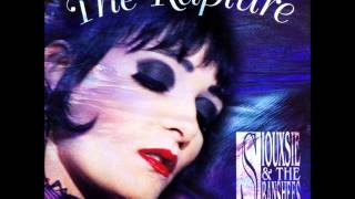 Siouxsie and the Banshees - The double life