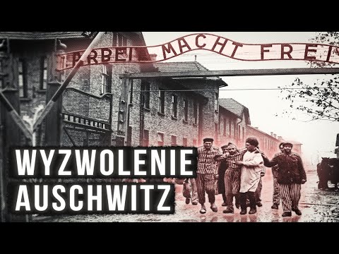 How did the evacuation and liberation of Auschwitz proceed?