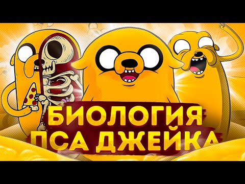 Особенности биологии Джейка | Спекулятивная биология