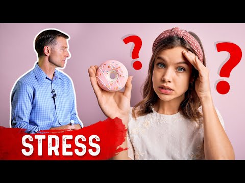 The Only Way to End Stress and Lower Cortisol