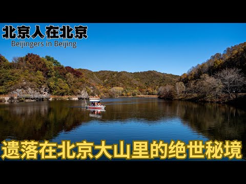 Nas montanhas profundas de Pequim Yanqing, no noroeste, as pessoas visitam as belas paisagens de ouro e outono, dez meses do ano e cinco pontos coloridos na montanha.
