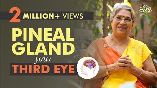 Take Care of your Pineal Gland by doing this | Dr. Hansaji Yogendra