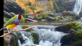 sound of flowing water, sound of flowing water asmr, sound of flowing water