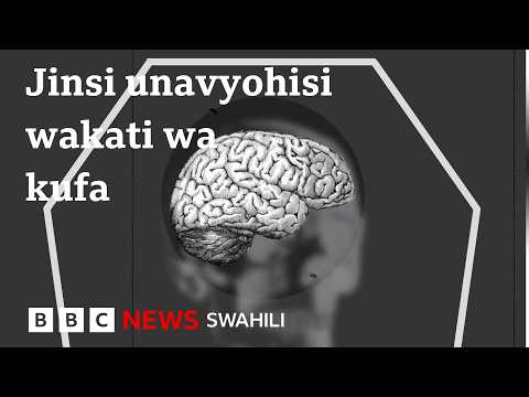 Nini hutokea kwenye ubongo wa binadamu wakati anakufa?