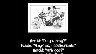 ~ The Many 'Facets' of k d Lang ~