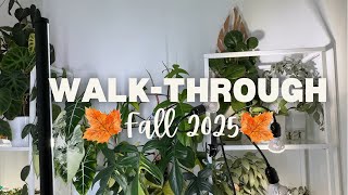 Last Look at My Plants Before Vacation—Will They Make It?