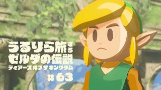 夢見の勇者服…？探しに行くしかありませんね #63【ゼルダの伝説 ティアーズ オブ ザ キングダム Switch2エディション】