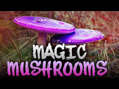 Mein erstes mal Magic Mushrooms... | STORY [REUPLOAD]