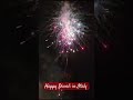 Experience The Magic Of Diwali In Italy A Spectacular Celebration Happy Diwali Trending Shorts
