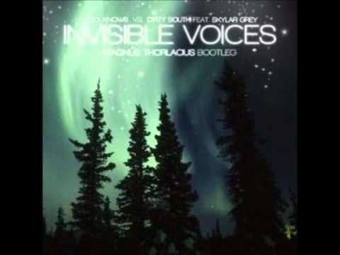 Otto Knows Vs. Dirty South, Skylar Grey - Invisible Voices (Magnus Thorlacius Bootleg)