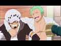 One Piece Law Doesn T Want To Drink With Zoro