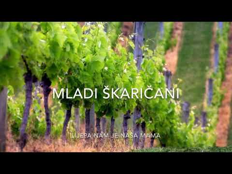 ZAGORSKE PJESME - Mladi Škaričani - lijepa nam je naša mama