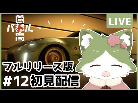 ドライブを楽しむねこ獣人