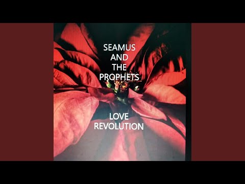 Love Revolution remix (Remix)