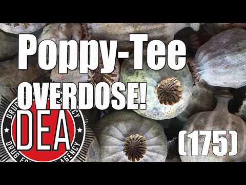 Poppy tea overdose!