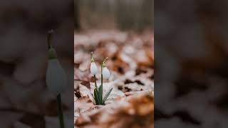 Download lagu Abcdefu - lagu joget remix mp3 Download lagu Abcdefu - lagu joget remix mp3