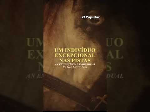 Cavalo é avaliado em R$ 88 milhões após venda milionária em leilão de Goiás
