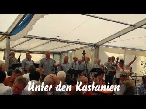 Bergmusikanten Waldfenster - Schondra 2013  (1)
