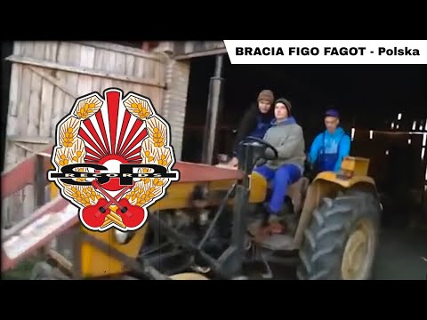 BRACIA FIGO FAGOT - Polska [OFFICIAL VIDEO]