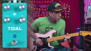 Video thumbnail for LPD Tidal Chorus Pedal by R.J. Ronquillo