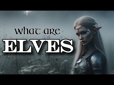 What are Elves?