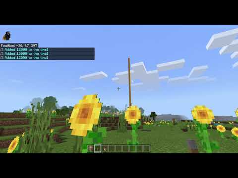 How to set time day and night in minecraft