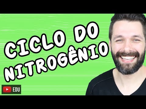 CICLO DO NITROGÊNIO - CICLOS BIOGEOQUÍMICOS | Biologia com Samuel Cunha