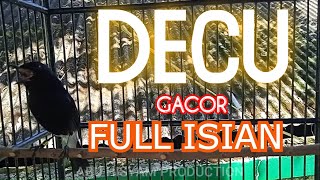 Download lagu BURUNG DECU GACOR mp3 Download lagu BURUNG DECU GACOR mp3