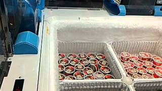 Ice cream magnum in claw machine prize won