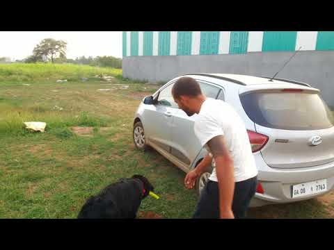 Kaiser on training by Kaimac