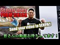 【新企画】SENPAI CHECK /センパイチェック